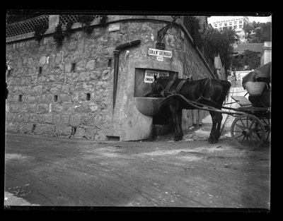 Monte Carlo von Eugène Trutat